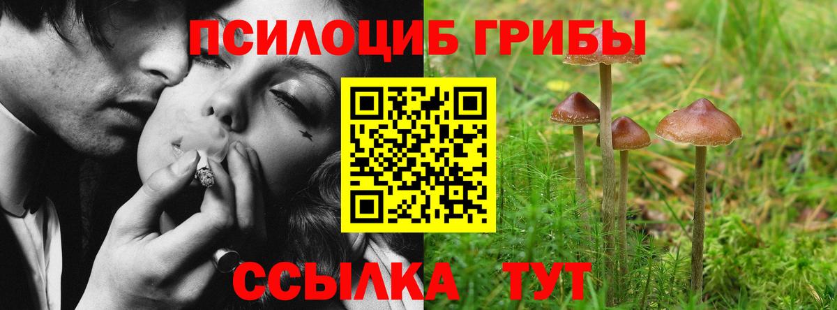 Галлюциногенные грибы прущие грибы  Вход с VPN  Семёнов 